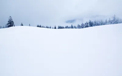 Прекрасные изображения белого снега