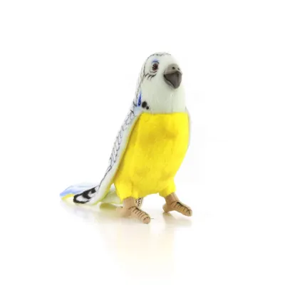 Волнистый попугай Альбинос. Попугай белого цвета оперения с красными  глазами. Особи представленного вида – отличные певцы, способны быстро… |  Instagram