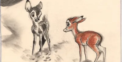 The Original Bambi | Princeton University Press