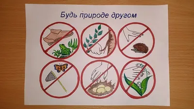 Рисунок Эти растения не рвите, а берегите! №378238 - «Природа родного  края!» (17.02.2023 - 18:55)