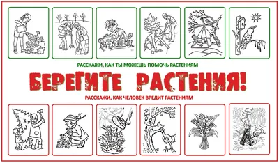 Береги растения картинки