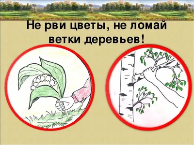 Береги природу до и после» — создано в Шедевруме