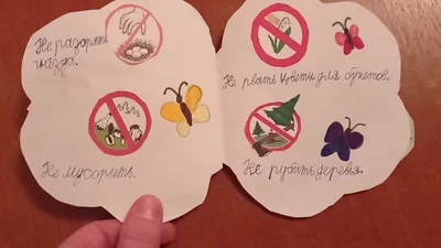 Раскраски растение, Раскраска берегите растение растения.