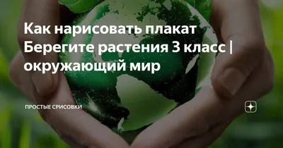 Берегите природу 1 — Нижегородская федерация граффити