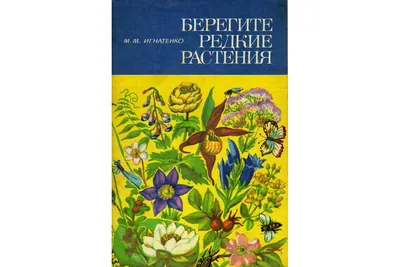 Берегите растения! - Плакаты по безопасности (дети 6-9 лет) - Конкурсные  работы - Обучение и развитие - ПочемуЧка - Сайт для детей и их родителей