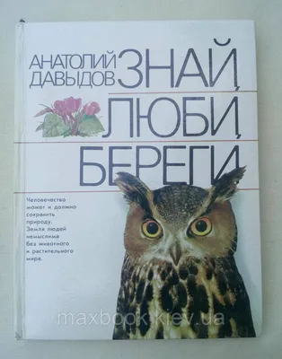 Персональный сайт - Проекты