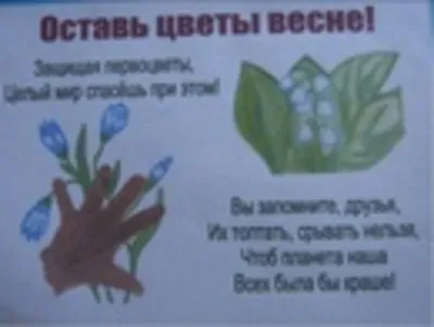 Охрана растений рисунок - 80 фото