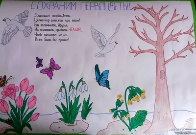 Берегите природу плакат для детей (36 фото) » Уникальные и креативные  картинки для различных целей - Pohod.club
