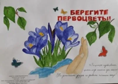 Социально-культурный центр Павловского сельского поселения Краснодарский  край