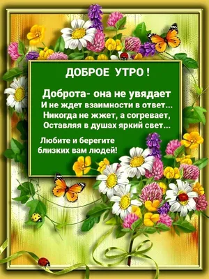 Конкурс \"Берегите природу\" - Всероссийские и международные дистанционные  конкурсы для детей - дошкольников и школьников