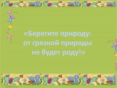 Любите животных...🙏 🙏 🙏 Берегите ЖИВОТНЫХ 🐶 🙀 🐕 🐩 🐈 🐁 | ВКонтакте