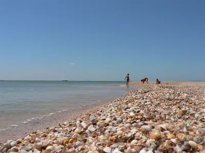 В Береговое на автобусе к морю из Белгорода - низкая цена от Актив Тур