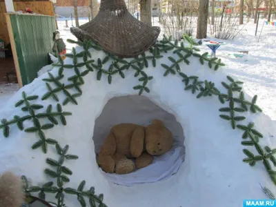 Жизнь медведей в берлоге: красота и гармония