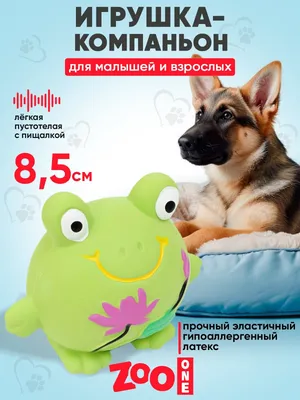 Кинолог назвал самые тихие породы собак - РИА Новости, 05.03.2023