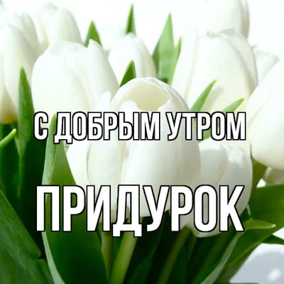 Бесплатные картинки! Открытки с добрым утром! На фоне красивой природы. с  восходом солнца. Горы, река, деревья. Красивые картинки.!