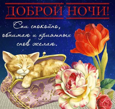 Картинки - Спокойной ночи — 🎁 Скачать бесплатно картинки с пожеланиями на  Pozdravim-vseh.ru