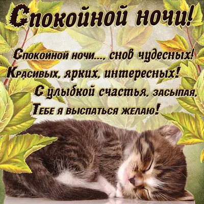 Мерцающие открытки спокойной ночи - скачать бесплатно