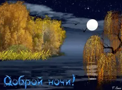 Пожелания \"Спокойной ночи\" - Бесплатные открытки! - RozaBox.com