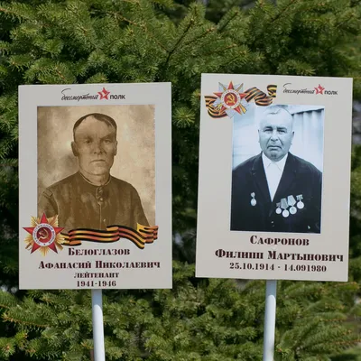 Создать штендер Бессмертный полк без фото по шаблону Zaprintom.ru