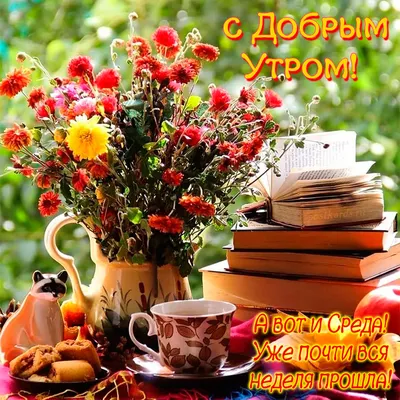 😃 Доброе утро - картинки, открытки, пожелания. | Доброе утро, Счастливые  картинки, Открытки