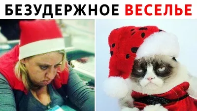 Micio Брелок-антистресс \"Безудержное веселье и милота\", 7 х 14 см — купить  в интернет-магазине по низкой цене на Яндекс Маркете