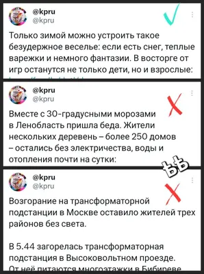 Шторы с фотопечатью \"Безудержное веселье\" из сатена, 290х265 см - купить в  Москве, цены на Мегамаркет