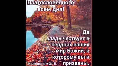 ДОБРОЕ УТРО!!! ☀️🌹🕊️ Христианское пожелание.Стихи из Библии. - YouTube