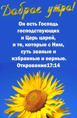 Pin by Христианские открытки on Доброго времени суток | Biblical verses,  Good morning, Verses