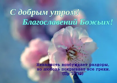 ОЧЕНЬ КРАСИВОЕ ПОЖЕЛАНИЕ! С ДОБРЫМ УТРОМ! ДОБРОЕ УТРЕЧКО ХОРОШЕГО ДНЯ! Стих  читает: Григорий Манукян - YouTube