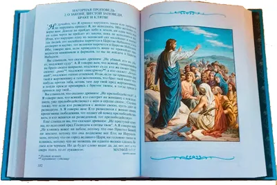 Купить книгу БИБЛИЯ В КАРТИНКАХ в интернет магазине, доставка в СПб,  Москву, Россию