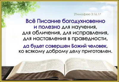 Блог :: 650 кг переизданий :: 9 новых Библий - большой формат, крупный  шрифт, красивые обложки
