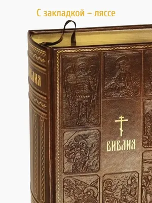 Купить Библия Православная. Книги Ветхого и Нового Заветов недорого в  Москве | Купить православные книги, литературу, акафисты, каноны, Библию и  молитвословы в интернет магазине \"Православный\"