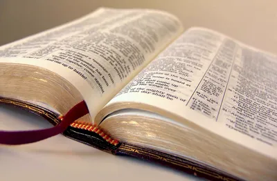 125 Библейские стихи о жизни - DailyVerses.net