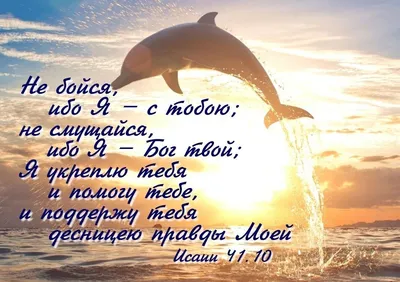 Январь 2022 г. Красивые библейские стихи о любви и браке: текущие школьные  новости
