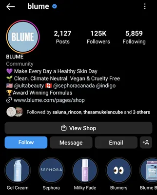 195+ Best Instagram Bios For Your Beauty Business [2024] - Starter