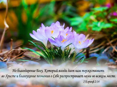 🙏❤ Молитва - благодарность Богу... | Oleg Bokov | ВКонтакте