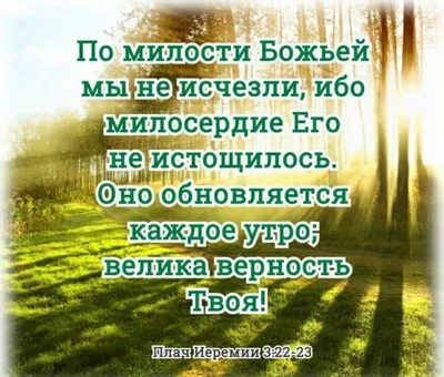 ✨✨✨ Самая большая благодарность Богу - радость! ☦Старец Фаддей Витовницкий.  ❗Друзья, напишите, чему вы сегодня порадовались ⤵️ Слава Богу… | Instagram