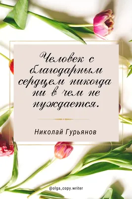 Цитаты о благодарности | Цитаты о благодарности, Дневники благодарности,  Благодарные цитаты