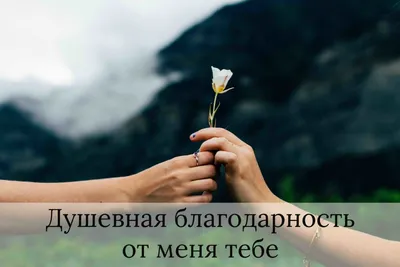 Коллекция оригинальных картинок ПРО БЛАГОДАРНОСТЬ | Цитаты про благодарность,  Благодарность, Благодарные цитаты