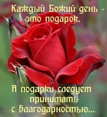 Ольга Макарова on Instagram: \"Благословенного дня - это такое счастье  получать от Бога каждый день! 🙏💯❤️💯🙏.Аллилуия! ❤️❤️❤️❤️❤️\"