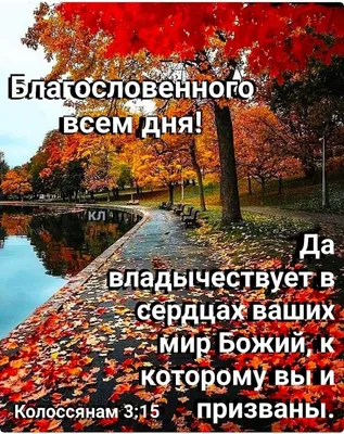 Доброе утро, православные! ❤ Бог держит всё под контролем - благословенного  дня! 🧣 | Священник Владислав Береговой | Дзен