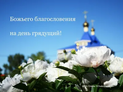 Благословенного дня (Много фото!) - treepics.ru