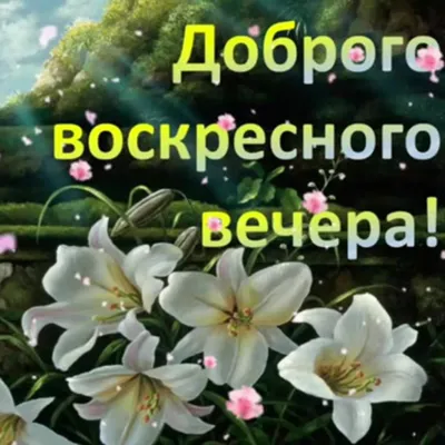 Вечер Ноября... 🍂🛋️ Открытки с пожеланием: ДОБРОГО, ПРИЯТНОГО ВЕЧЕРА! - БЛАГОСЛОВЕННЫЙ  ВЕЧЕР! - картинки христианские с надписями