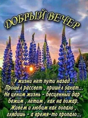 Благословенного вечера и доброй ночи (Много фото!) - treepics.ru