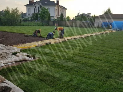 Благоустройство территорий Воронеж, ландшафтный дизайн участка