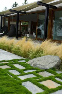 100 лучших идей: благоустройство участка частного дома загородного | Small  backyard landscaping, Backyard remodel, Backyard landscaping designs