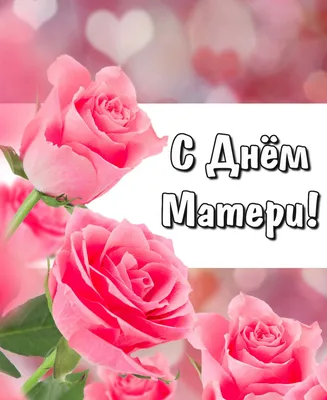 С Днём матери поздравление открытки пожелания видео для мамочек красивые  маме поздравления мамы | Открытки, Идеи на день матери, Праздничные открытки