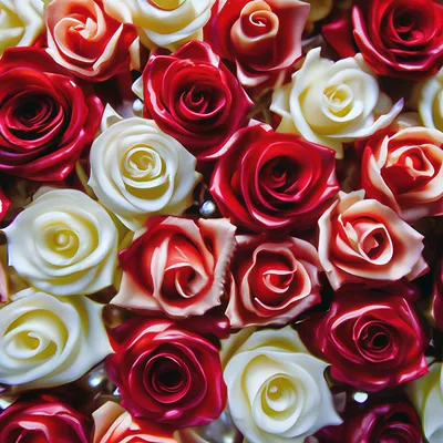 РОЗЫ,ДЛЯ ТЕБЯ!~Анимационные блестящие GIF картинки | Красная роза, Красные  розы, Цветы на рождение