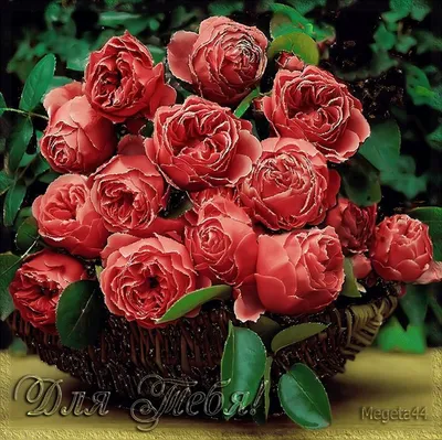 Блестящие розы картинки - 75 фото