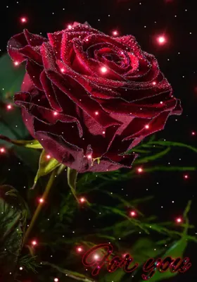 Bouton Flower Boutique - Блестящие красные и алые розы в оригинальных  букетах, которые пронзают Ваше сердце, как будто первая любовь. Даже самый  сильный человек найдет свою сокровенную слабость в этих блестящих букетах,